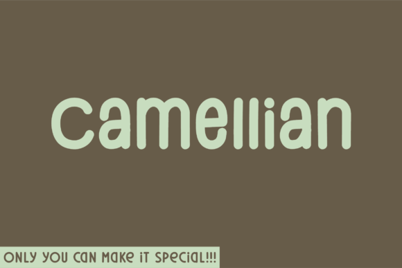 Camellian Rounded: A Typeface for Authentic Branding