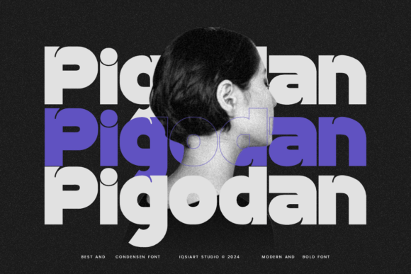 Pigodan: The Display Font That Sharpens Campaign Visuals