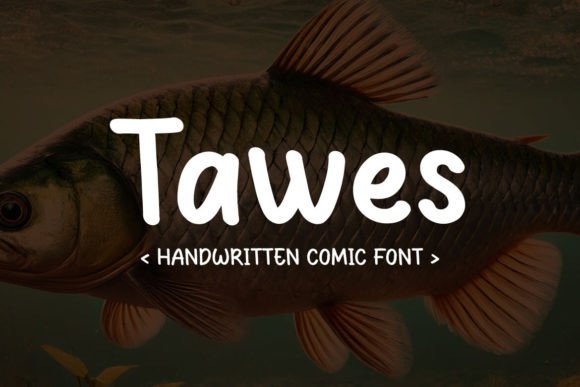 Tawes Font: A Playful Sans Serif for Editorial Design
